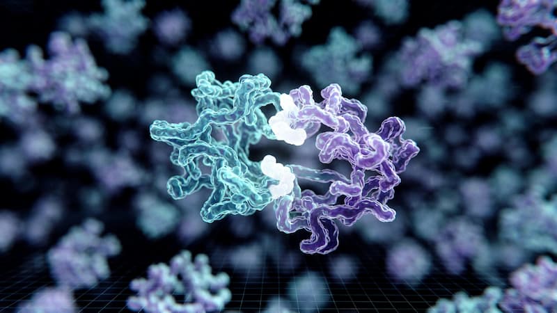 AlphaFold's Interactome Leap: 1.7 Million AI-Predicted Protein Complexes, Free for Everyone