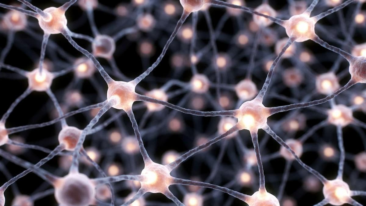 200,000 Human Brain Cells Just Learned to Play DOOM — and It Changes Everything About AI